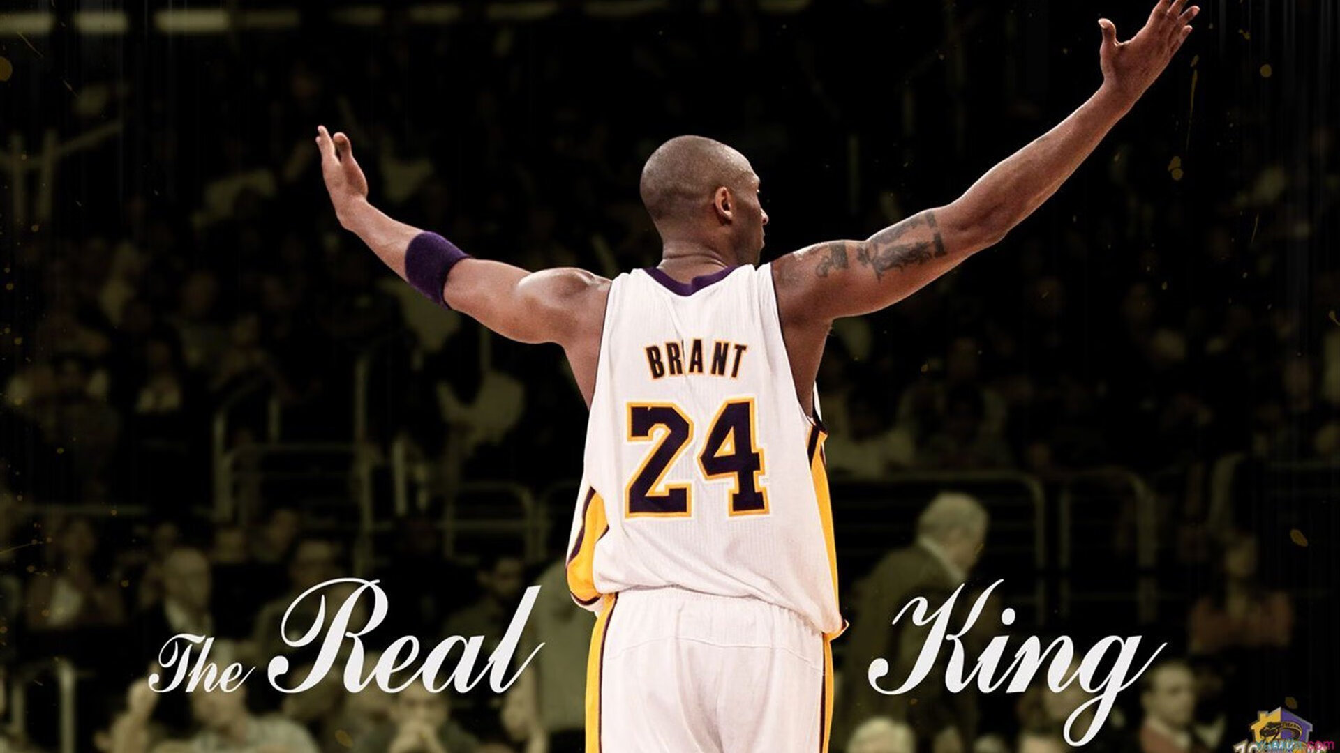 美洲杯逆转奇迹:奋勇激战,终成传奇,美洲美洲杯