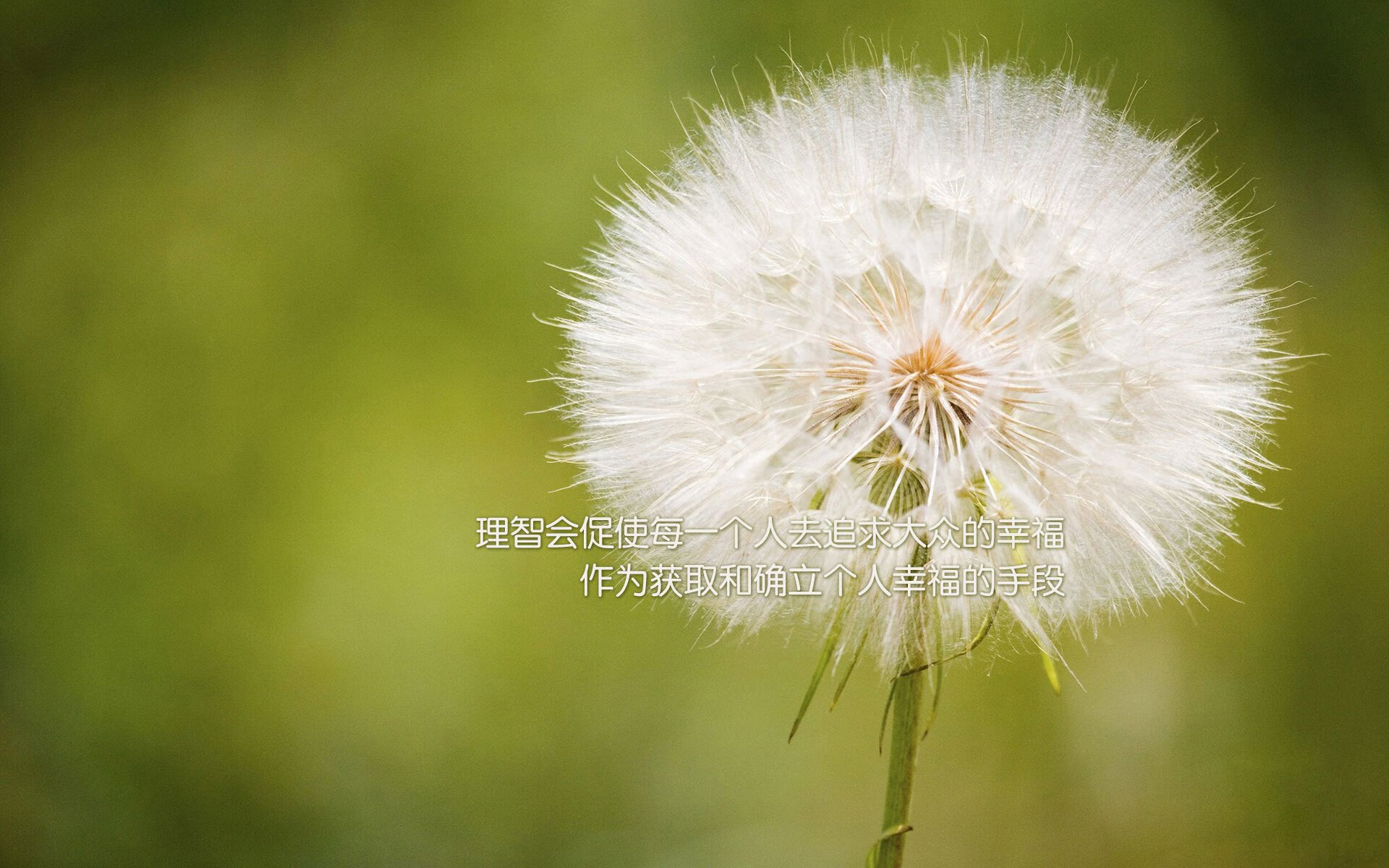 TI冠军战队巡礼:他们的成功秘诀是什么?,ti冠军名单