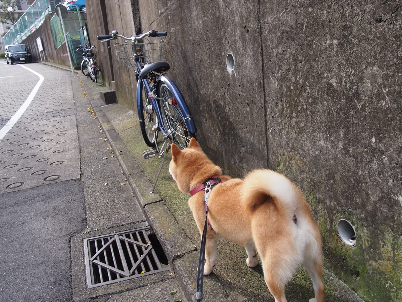 《线上英雄会：全球玩家同步竞技》，线上英雄什么意思