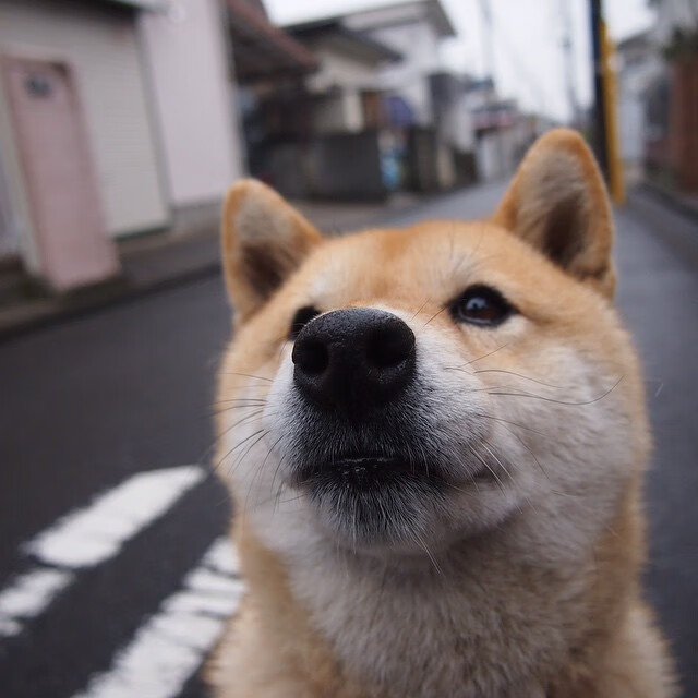 【互动抽奖】粉丝现场参与赢取签名球衣，谁的签名球衣会升值