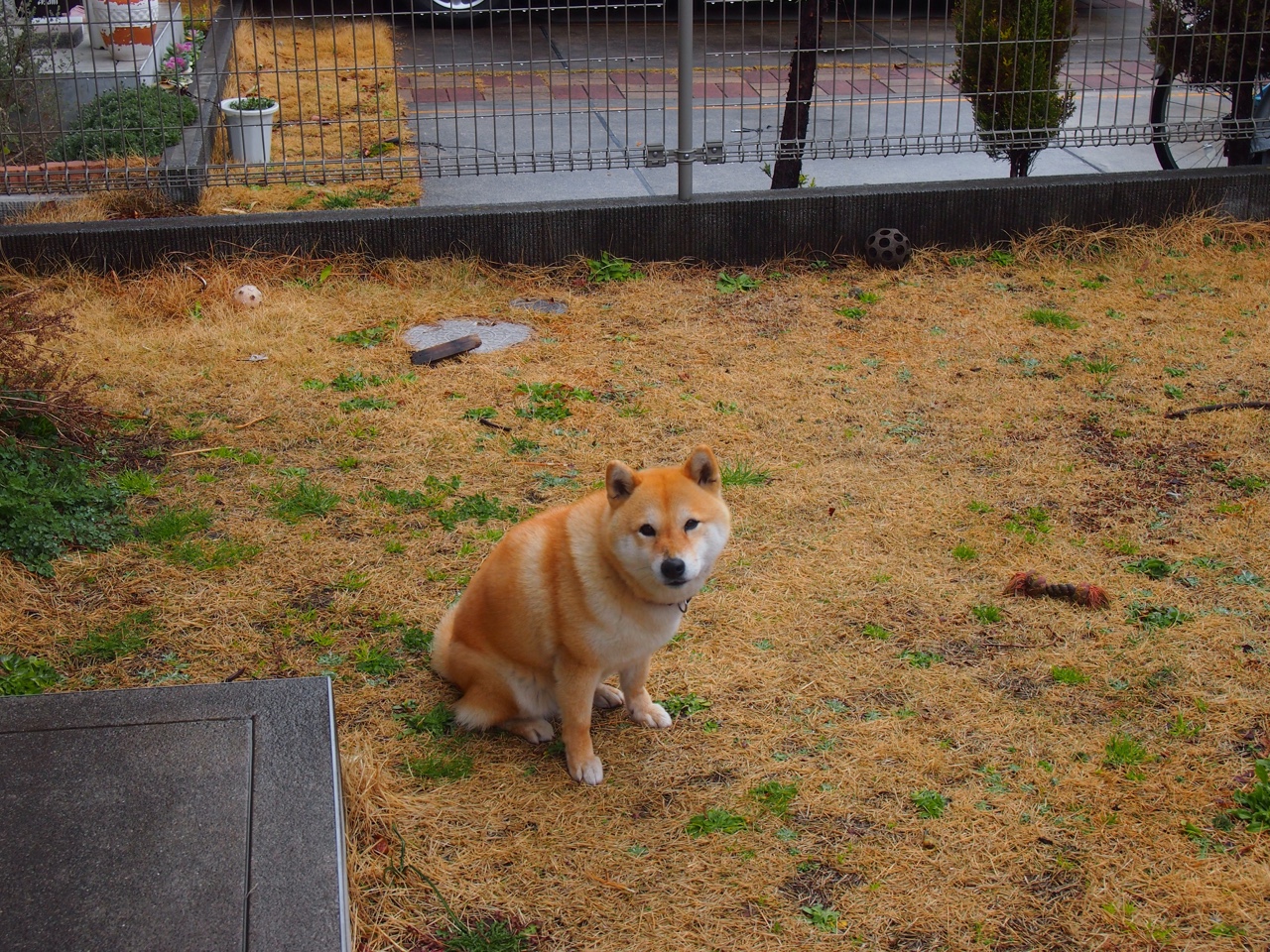 【运动员成长】从新手到冠军:丁俊晖的训练理念与心路历程,丁俊晖是如何练成的