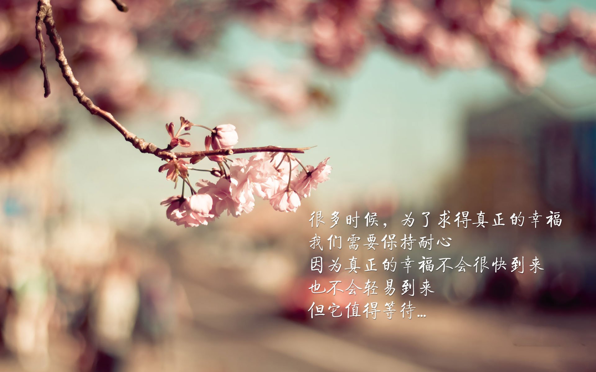 世界篮球日盛典:NBA全球化战略再升级,全球篮球比赛