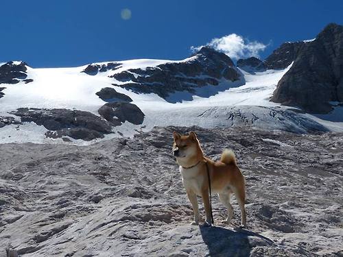为什么某某球队的高压战术如此成功?,高压球动作要领
